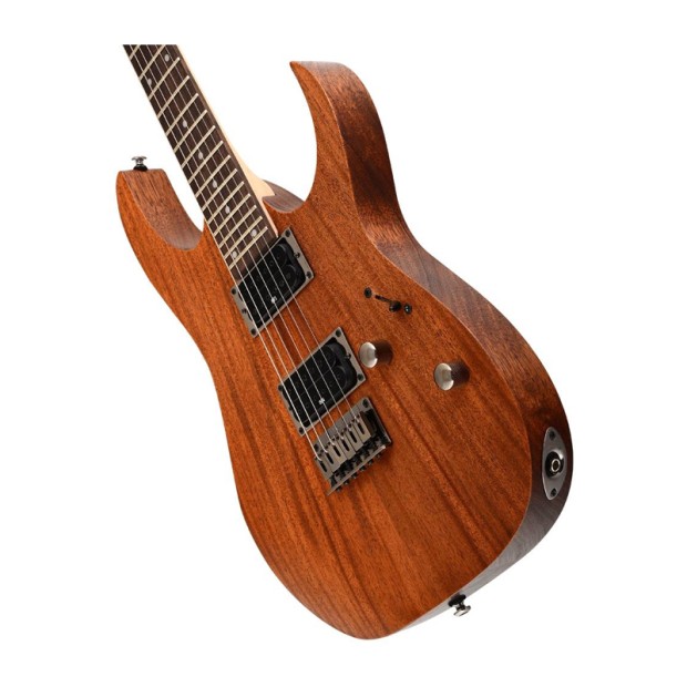گیتار الکتریک آیبانز IBANEZ RG421 MOL