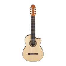 گیتار کلاسیک آیبانز IBANEZ G208CWC-NT