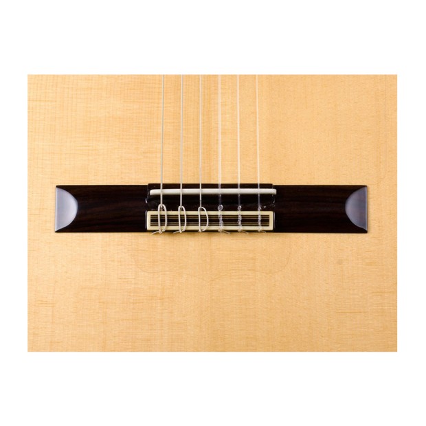 گیتار کلاسیک پاکو کاستیلو Paco Castillo 213F
