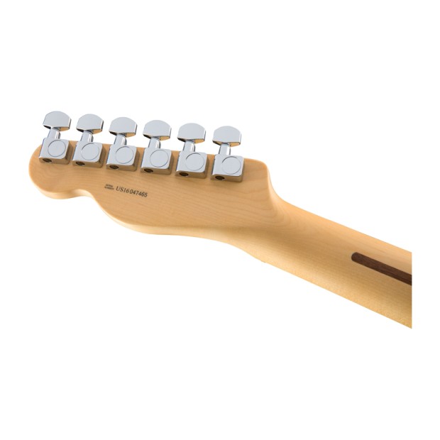گیتار الکتریک فندر Fender American Professional Telecaster - Natural with Maple Fingerboard