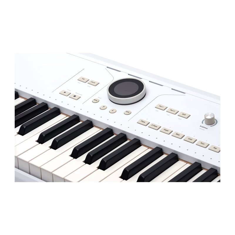 سینتی سایزر آرتوریا Arturia AstroLab 61 White
