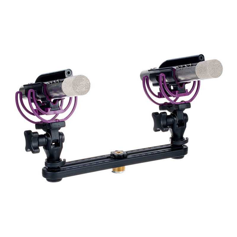 میکروفن استون Aston Microphones Starlight Stereo Pair