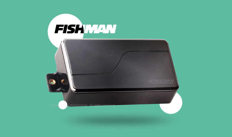 پیکاپ گیتار Fishman PRF-MS6-TA2