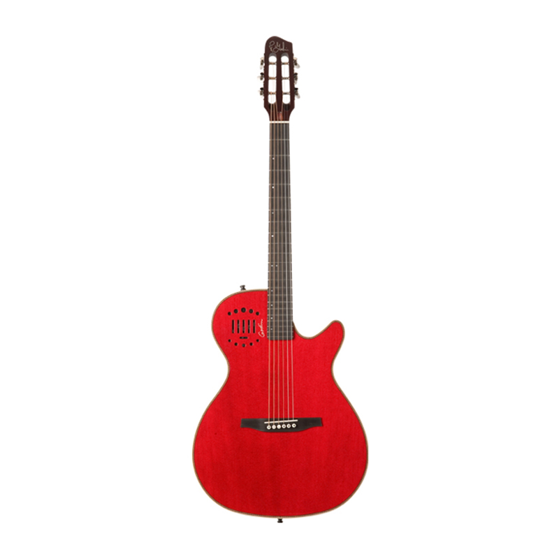قیمت خرید فروش گیتار آکوستیک گودین Godin Multiac Steel Duet Ambiance