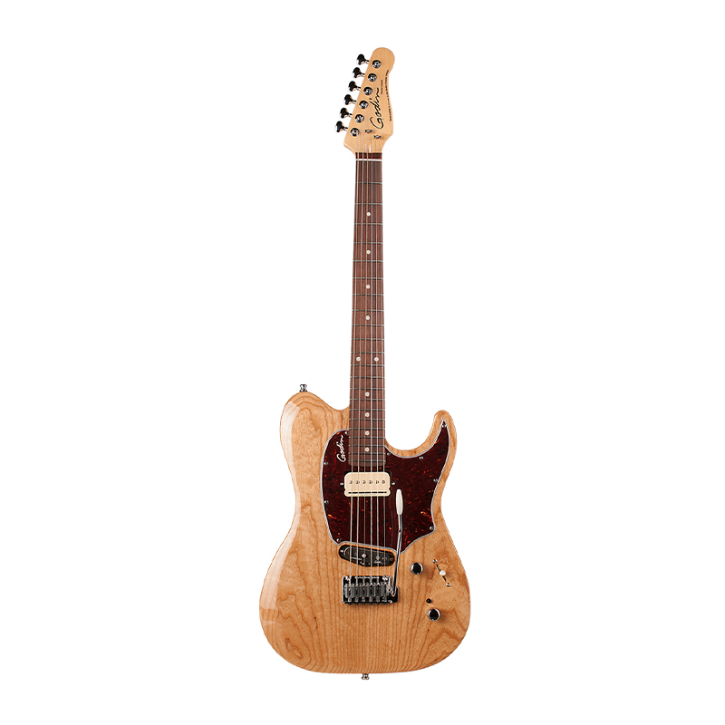 قیمت خرید فروش گیتار الکتریک گودین Godin Passion Custom Swamp ASH MN