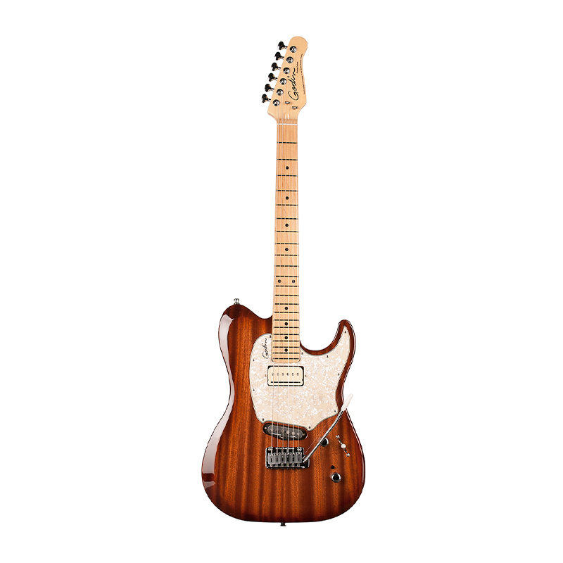 قیمت خرید فروش گیتار الکتریک گودین Godin Passion Custom Whiskey BST