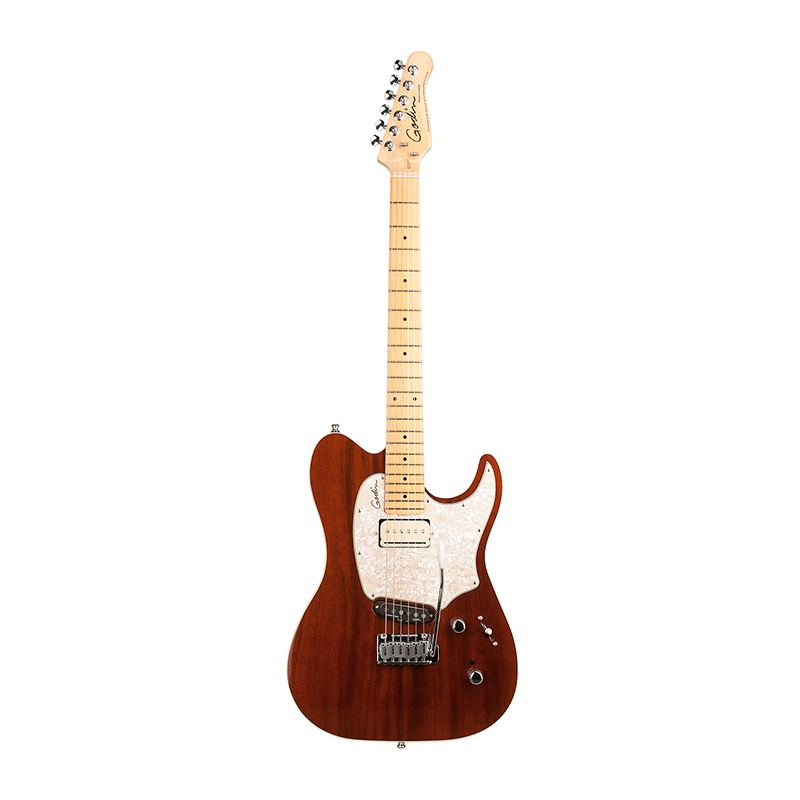 قیمت خرید فروش گیتار الکتریک گودین Godin Session Custom Classic LTD HG MN