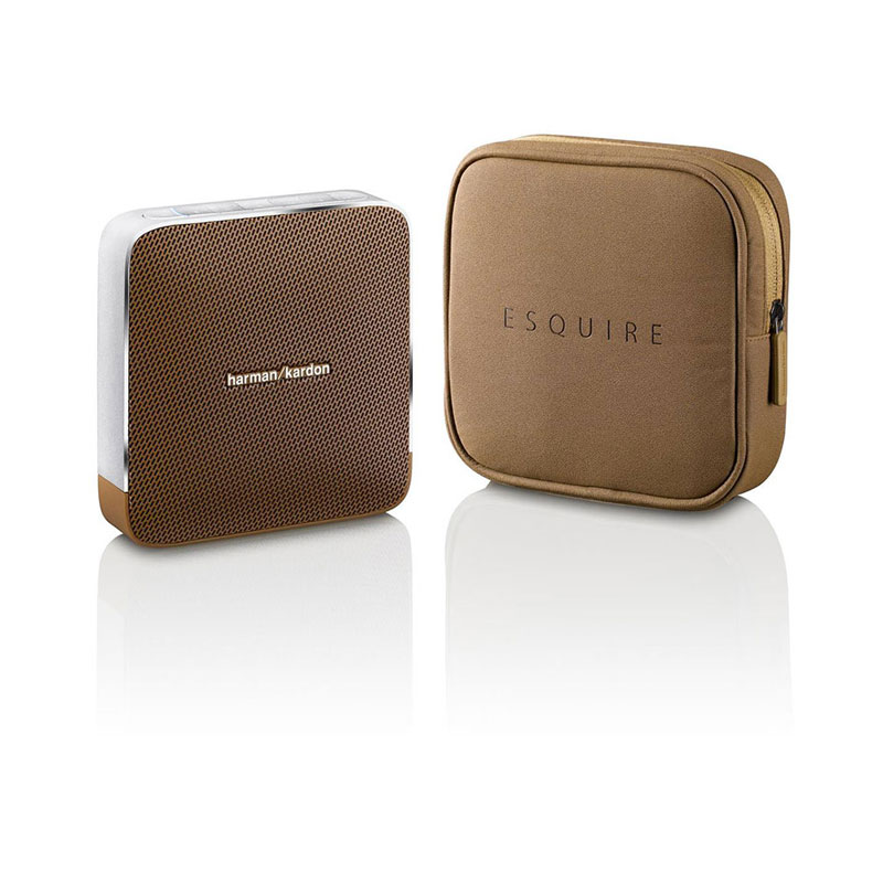 اسپیکر پرتابل هارمن کاردن Harman Kardon Esquire Brown