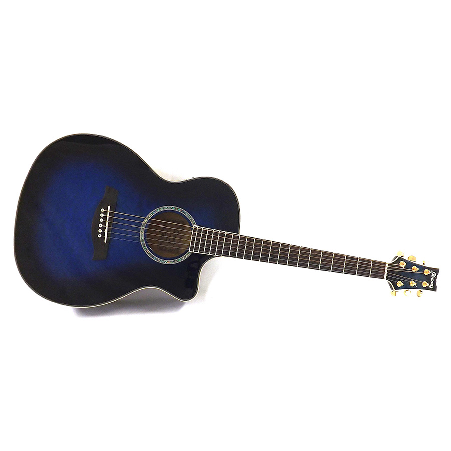 گیتار آکوستیک آیبانز IBANEZ A300E TBS