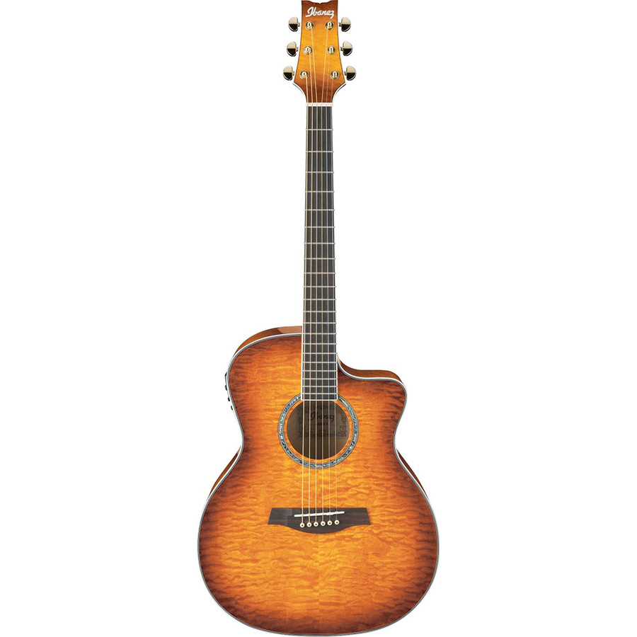 گیتار آکوستیک آیبانز IBANEZ A300E VV