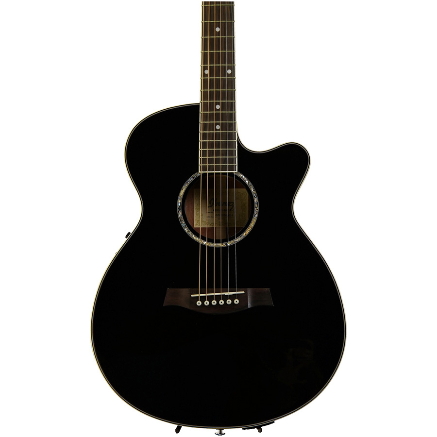 گیتار آکوستیک آیبانز IBANEZ AEG10E BK