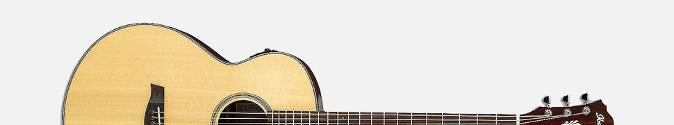 IBANEZ AEG8E NT گیتار آکوستیک