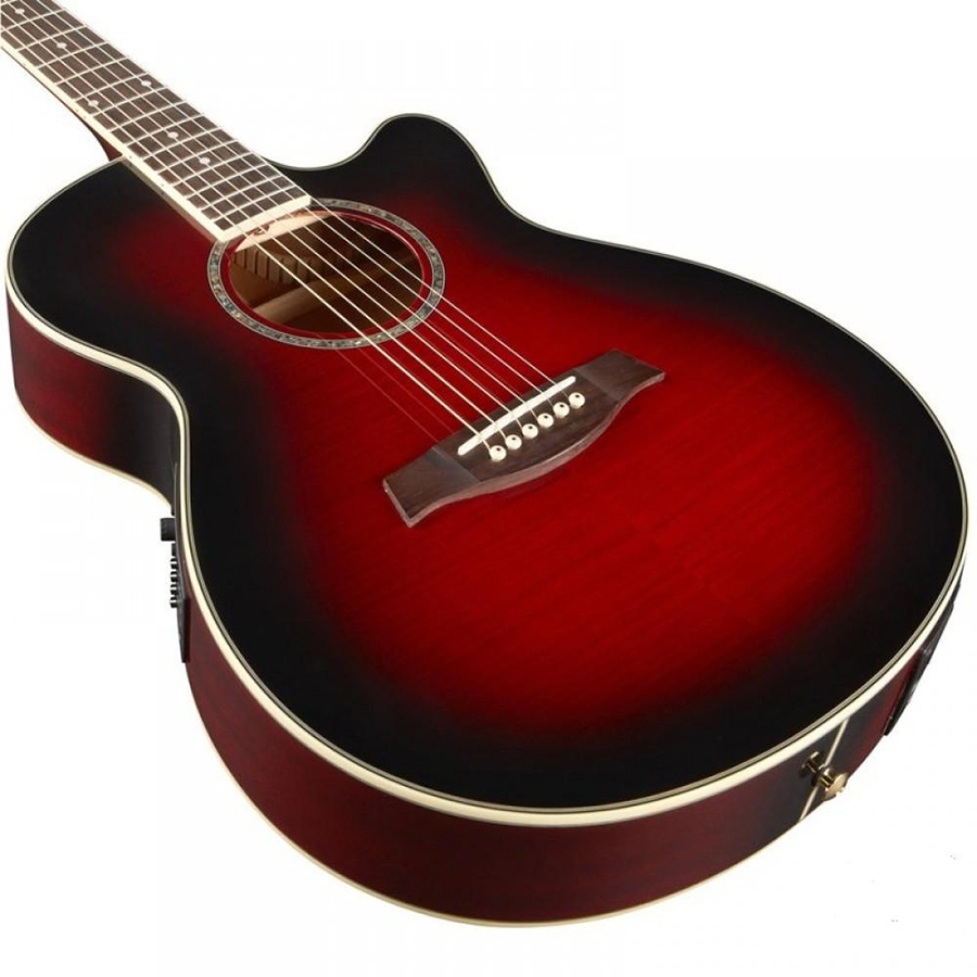 گیتار آکوستیک آیبانز Ibanez AEG8E TRS