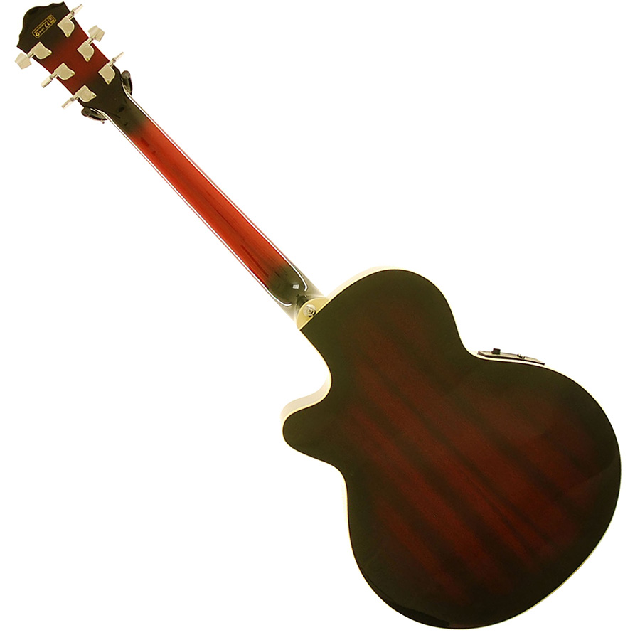گیتار آکوستیک آیبانز Ibanez AEG8E TRS