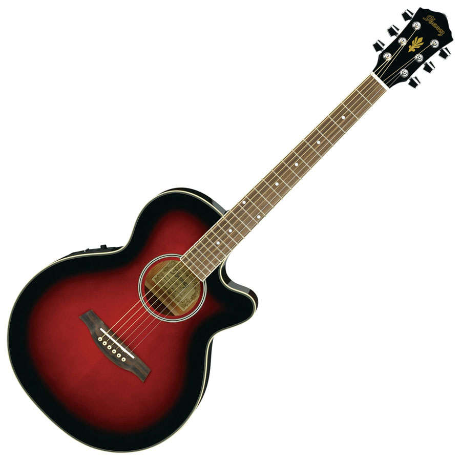 گیتار آکوستیک آیبانز Ibanez AEG8E TRS