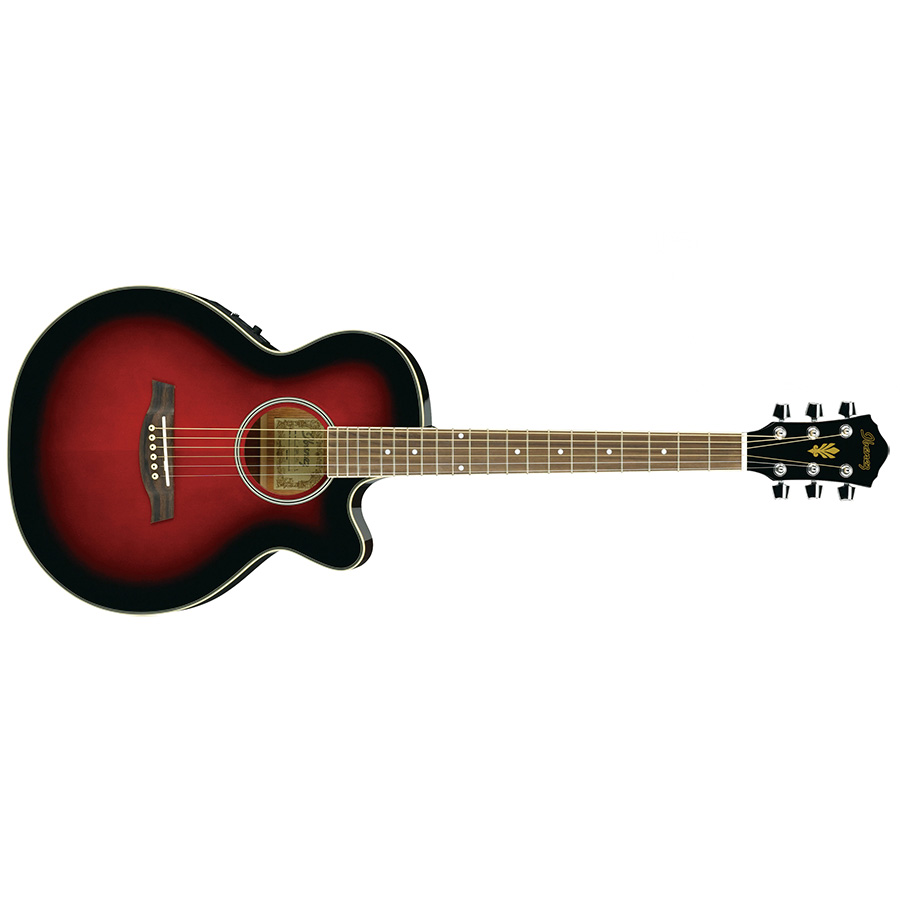گیتار آکوستیک آیبانز Ibanez AEG8E TRS