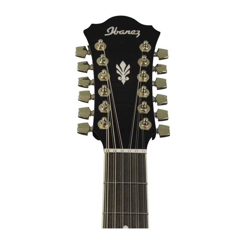 گیتار آکوستیک آیبانز IBANEZ AEL2012E TKS