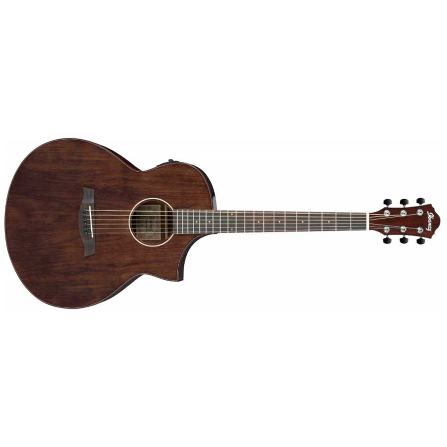 گیتار آکوستیک آیبانز Ibanez AEW40CD