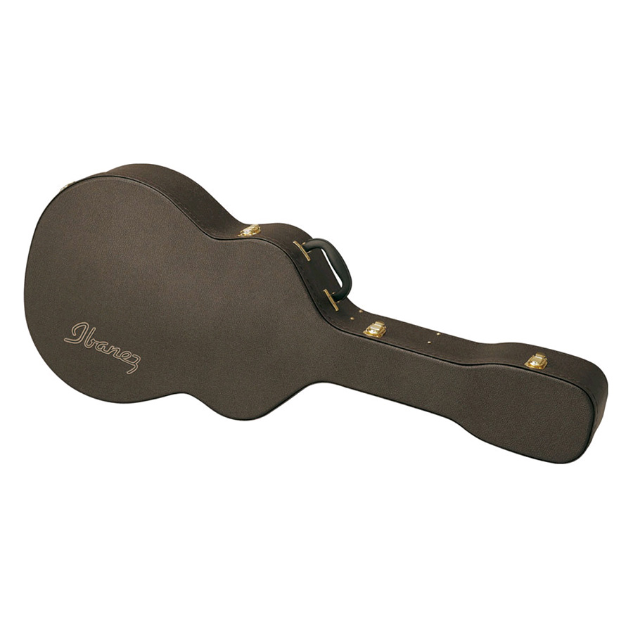 گیتار آکوستیک آیبانز IBANEZ EP10 BP