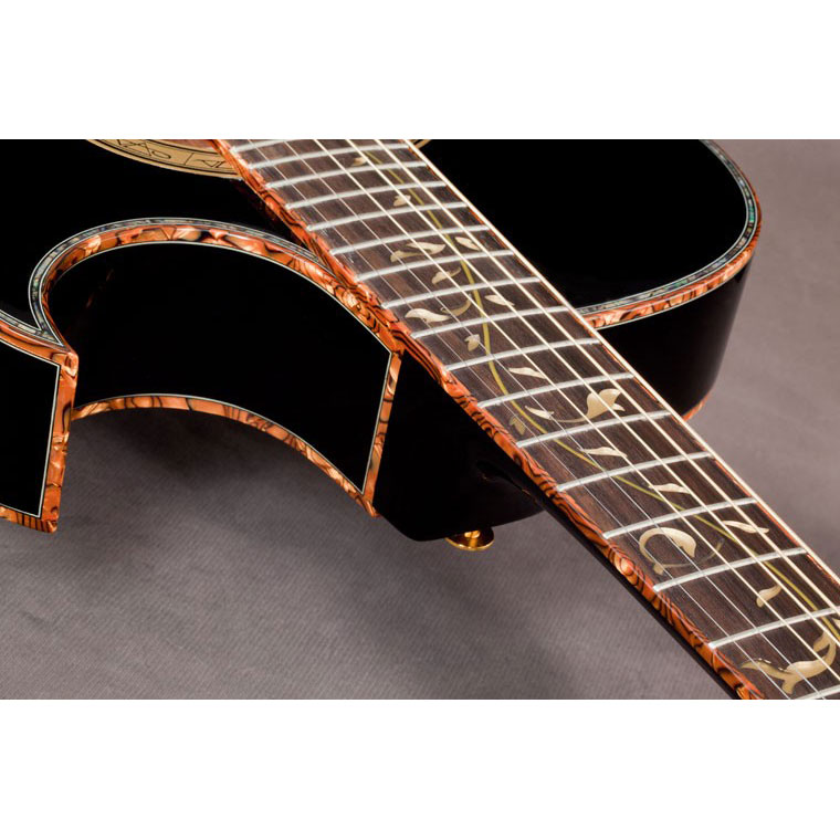 گیتار آکوستیک آیبانز IBANEZ EP10 BP