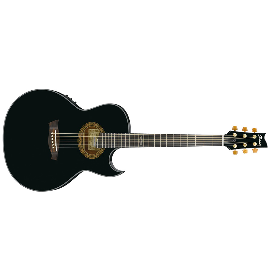 گیتار آکوستیک آیبانز IBANEZ EP5 BP