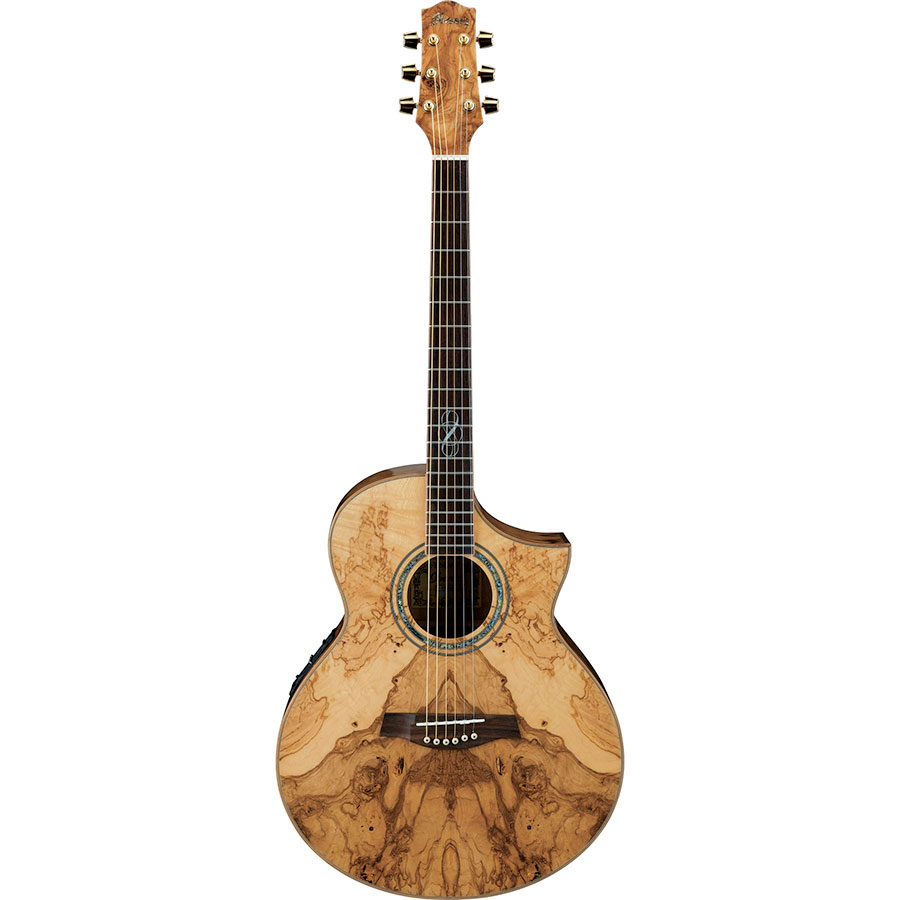 گیتار آکوستیک آیبانز IBANEZ EW35ABE NT