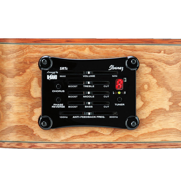 گیتار آکوستیک آیبانز IBANEZ EW35ABE NT