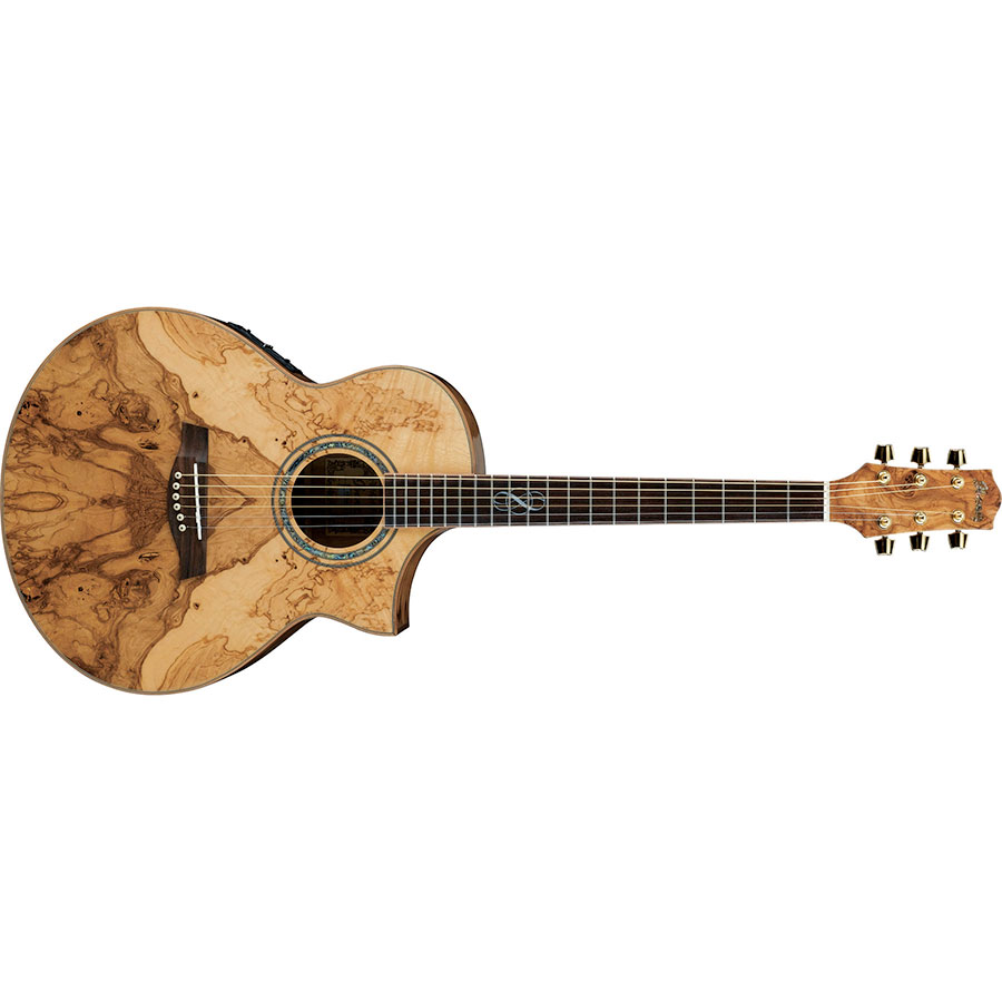 گیتار آکوستیک آیبانز IBANEZ EW35ABE NT