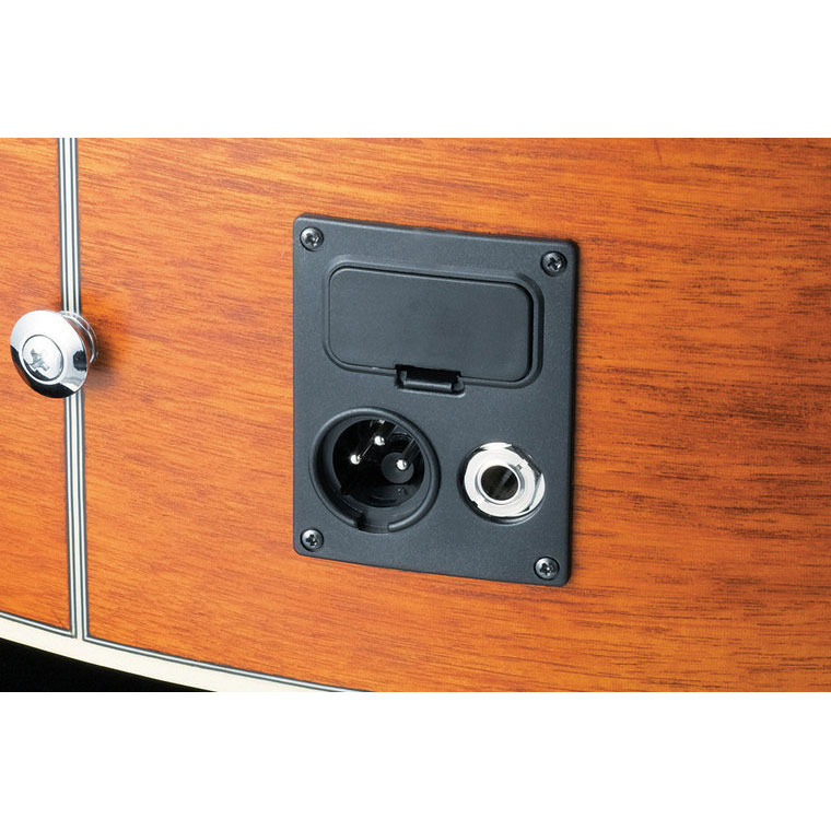 گیتار آکوستیک آیبانز IBANEZ EW50 CBE