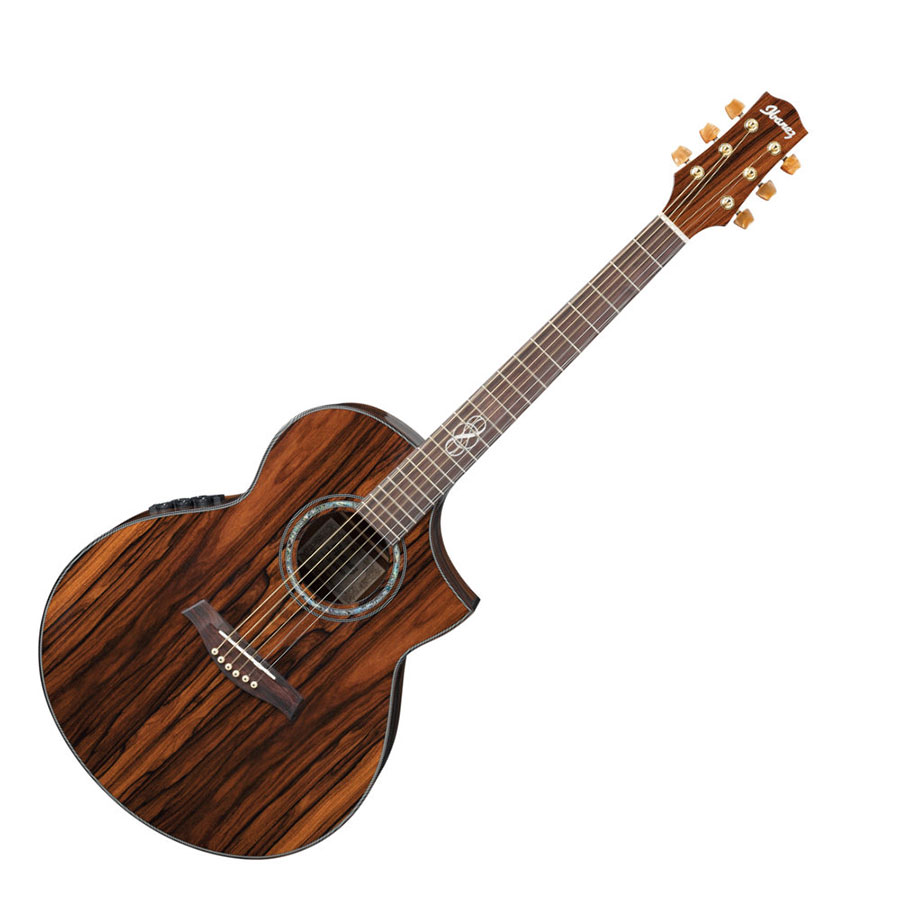 گیتار آکوستیک آیبانز IBANEZ EW50 CBE