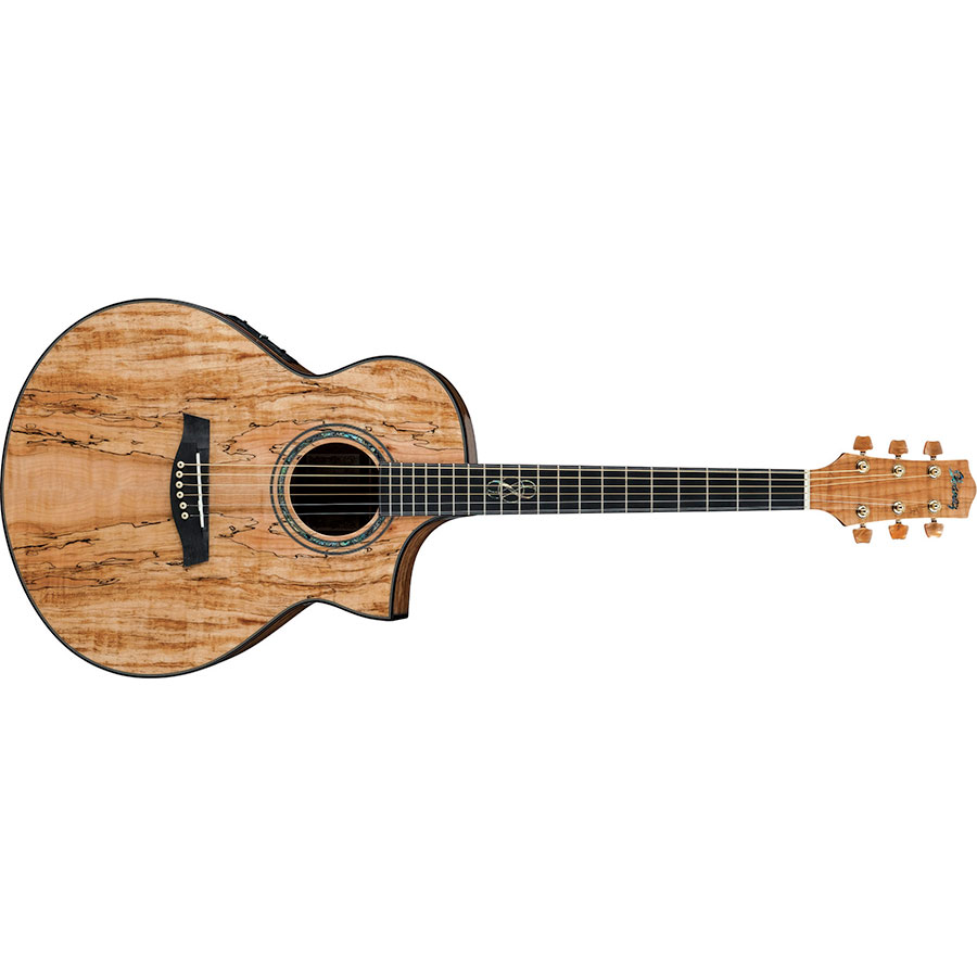 گیتار آکوستیک آیبانز IBANEZ EW50 SME