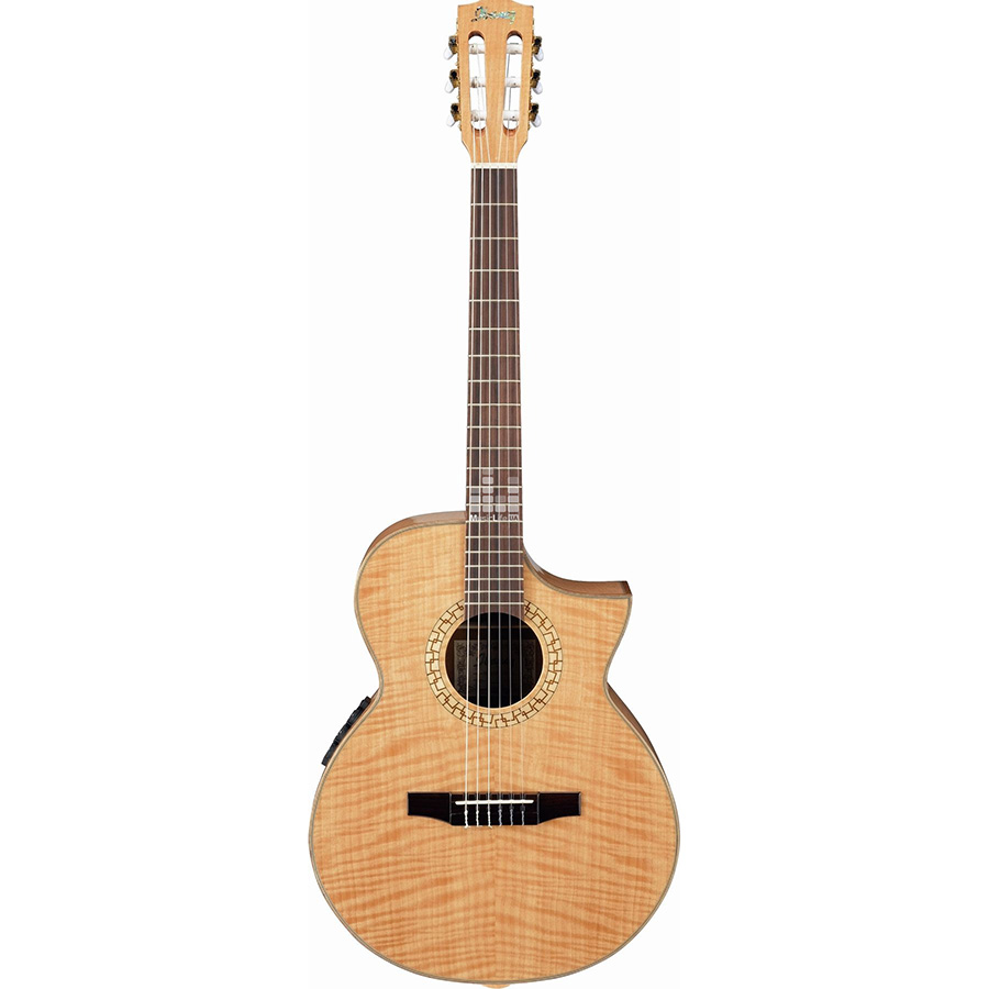 گیتار کلاسیک آیبانز IBANEZ EWN30SYE NT