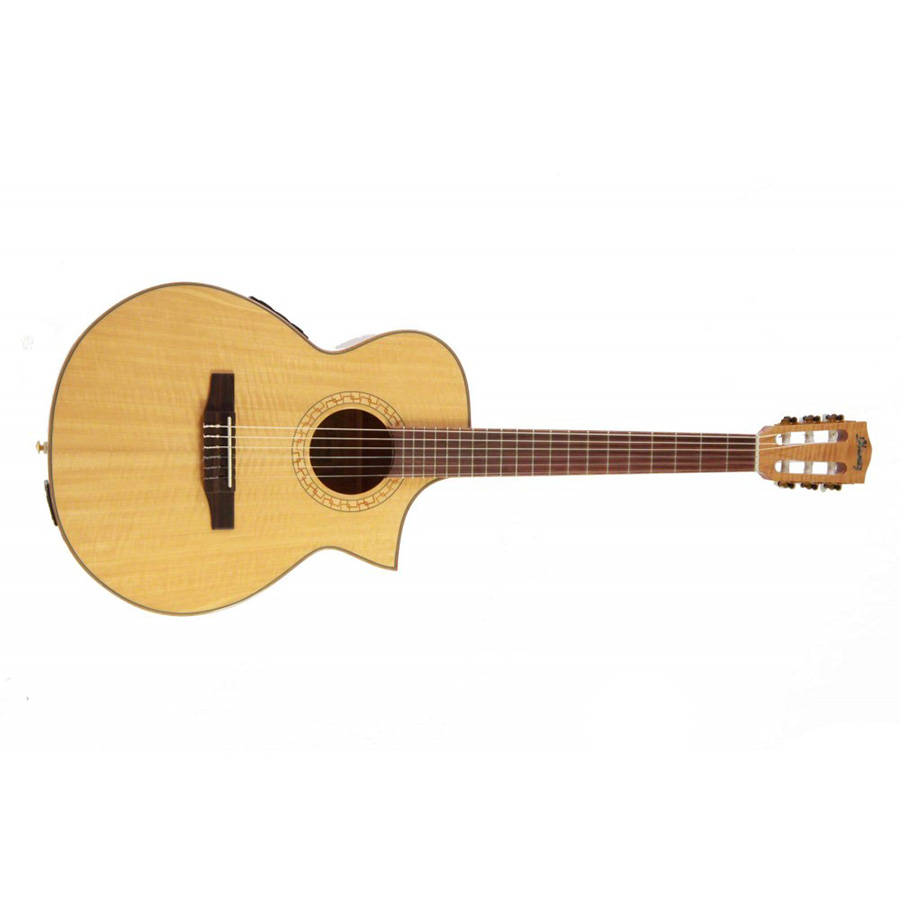 گیتار کلاسیک آیبانز IBANEZ EWN30SYE NT