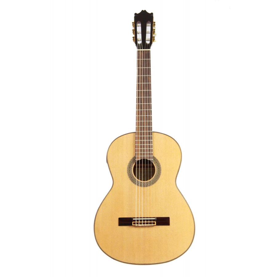 قیمت خرید فروش گیتار کلاسیک آیبانز IBANEZ G200E NT