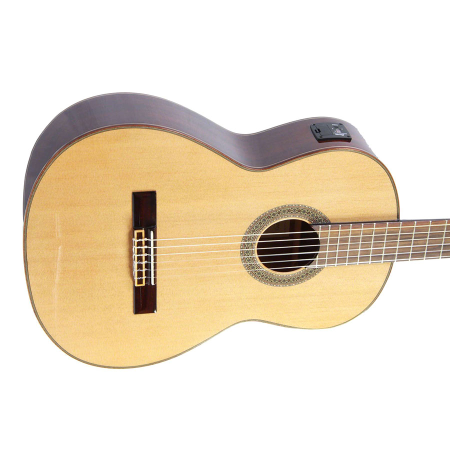 گیتار کلاسیک آیبانز IBANEZ G200E NT