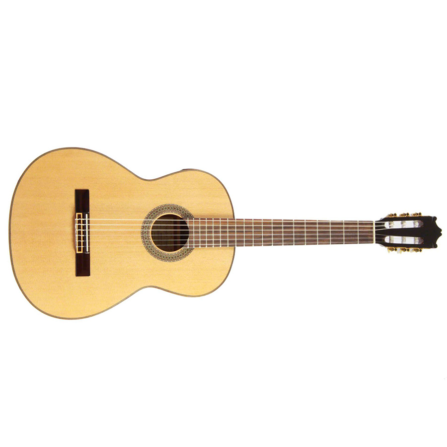 گیتار کلاسیک آیبانز IBANEZ G200E NT