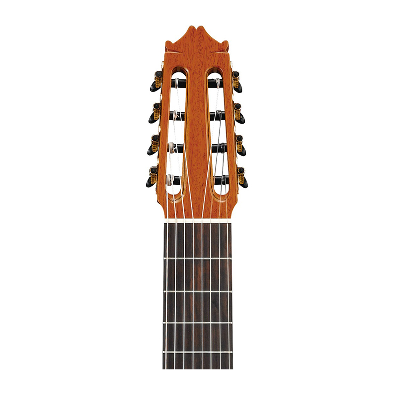 گیتار کلاسیک آیبانز IBANEZ G208CWC-NT