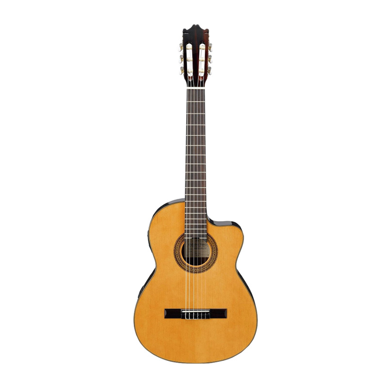 گیتار کلاسیک آیبانز IBANEZ G5ECE AM