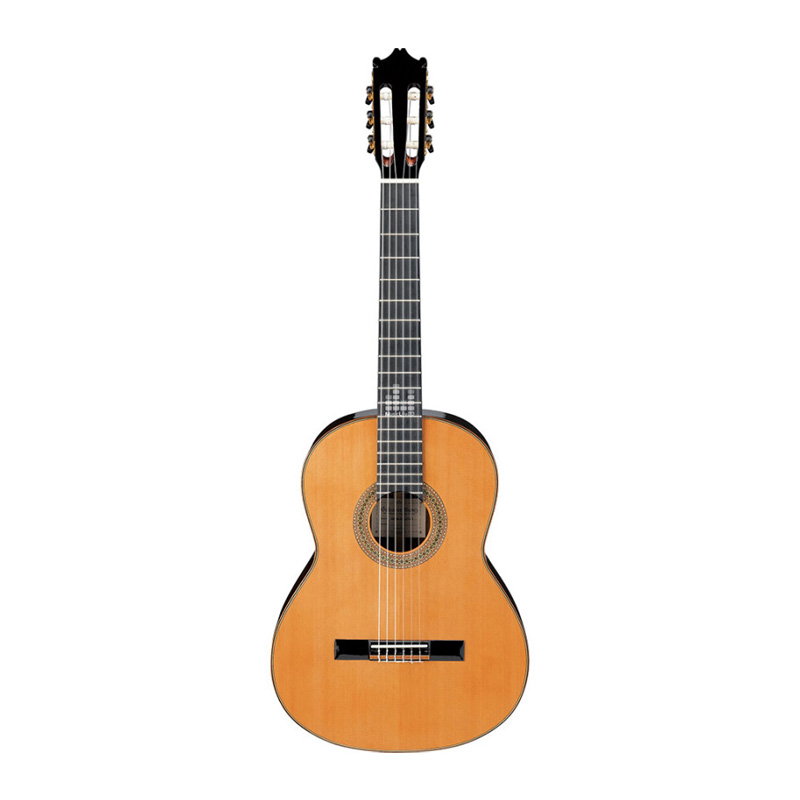 گیتار کلاسیک آیبانز IBANEZ G850 NT