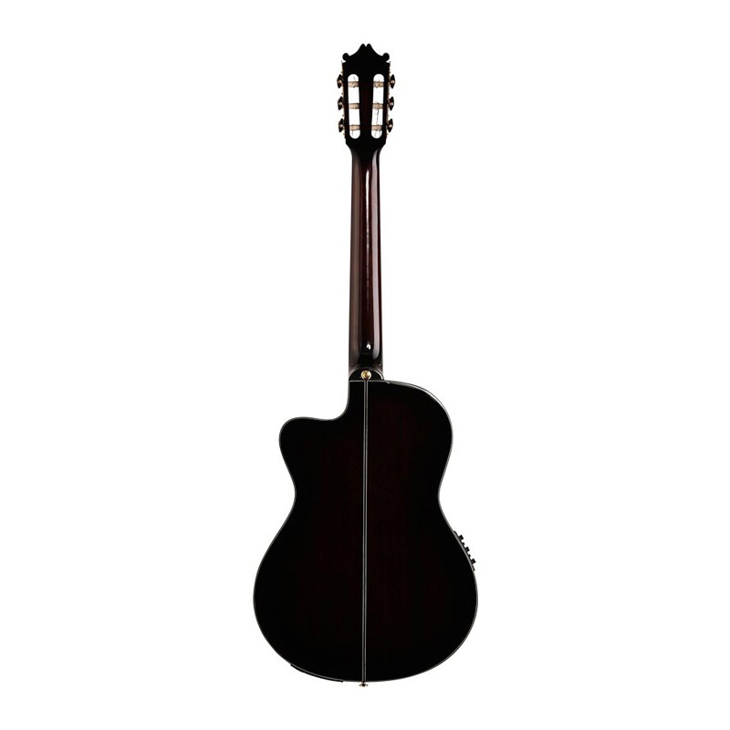 گیتار کلاسیک آیبانز Ibanez GA35TCE DVS