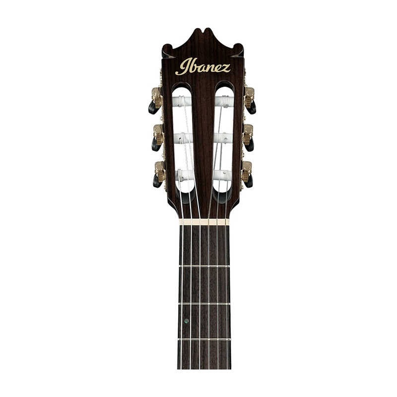 گیتار کلاسیک آیبانز Ibanez GA35TCE DVS
