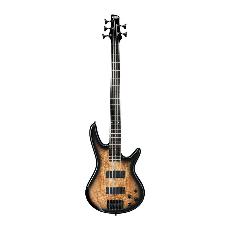 گیتار بیس آیبانز Ibanez GSR205SM NGT