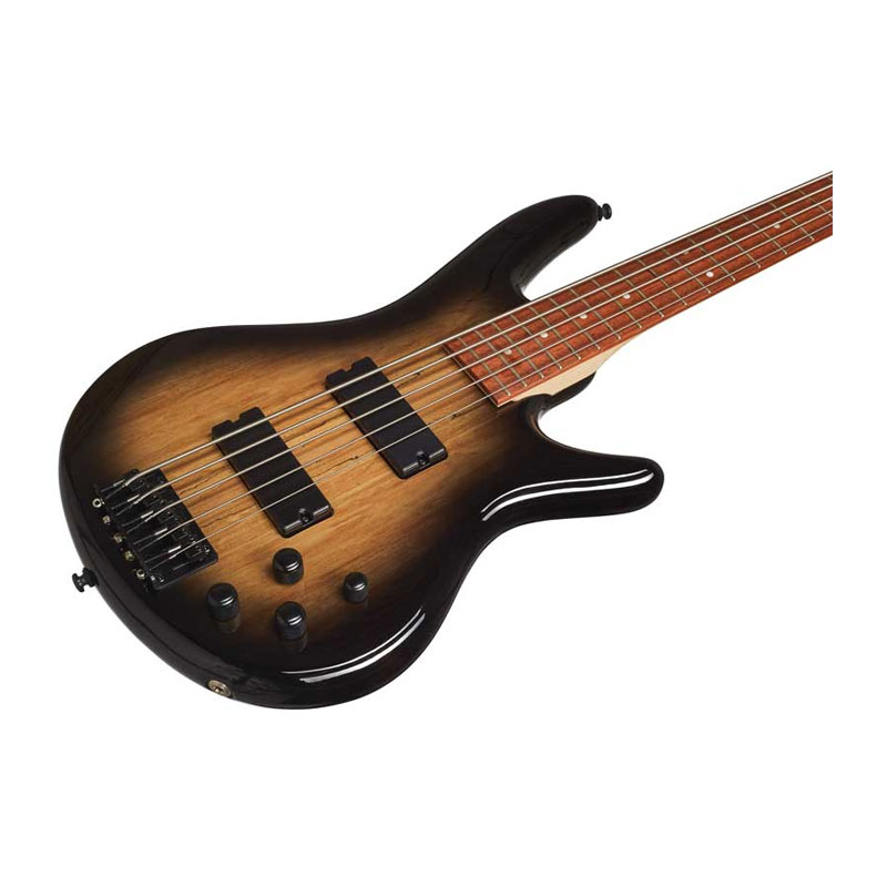 گیتار بیس آیبانز Ibanez GSR205SM NGT