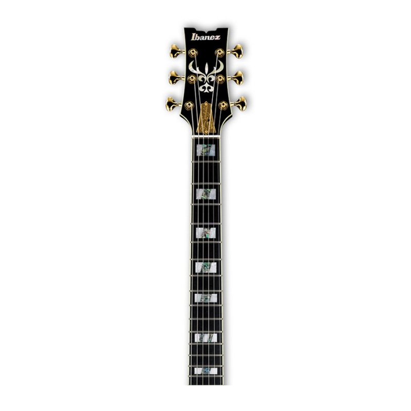 گیتار الکتریک آیبانز Ibanez JSM100 VT