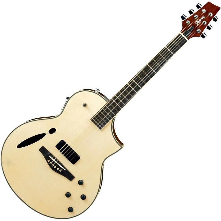 گیتار آکوستیک آیبانز IBANEZ MSC350 NT