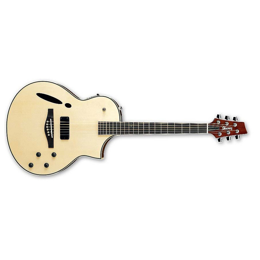 گیتار آکوستیک آیبانز IBANEZ MSC350 NT