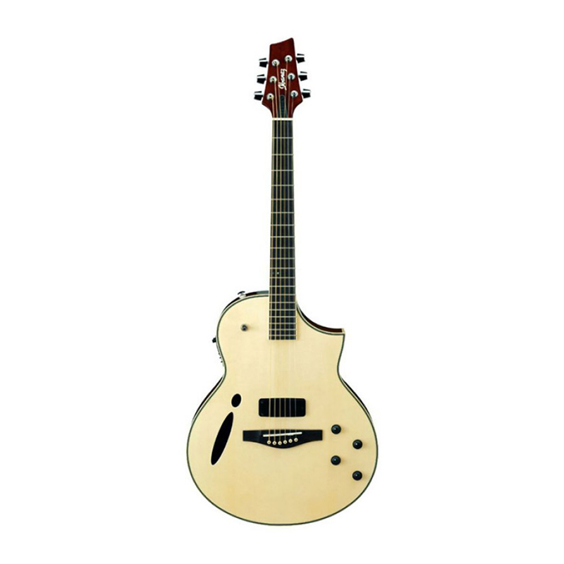قیمت خرید فروش گیتار آکوستیک آیبانز IBANEZ MSC 380-NT