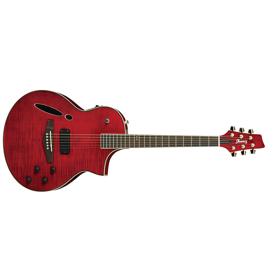 گیتار آکوستیک آیبانز IBANEZ MSC380FM TRD