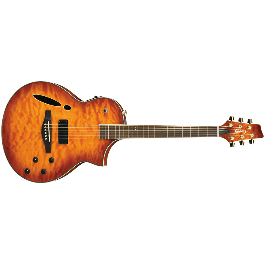 گیتار آکوستیک آیبانز IBANEZ MSC380QM VV