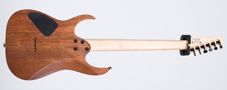 IBANEZ RG421-MOL گیتار الکتریک